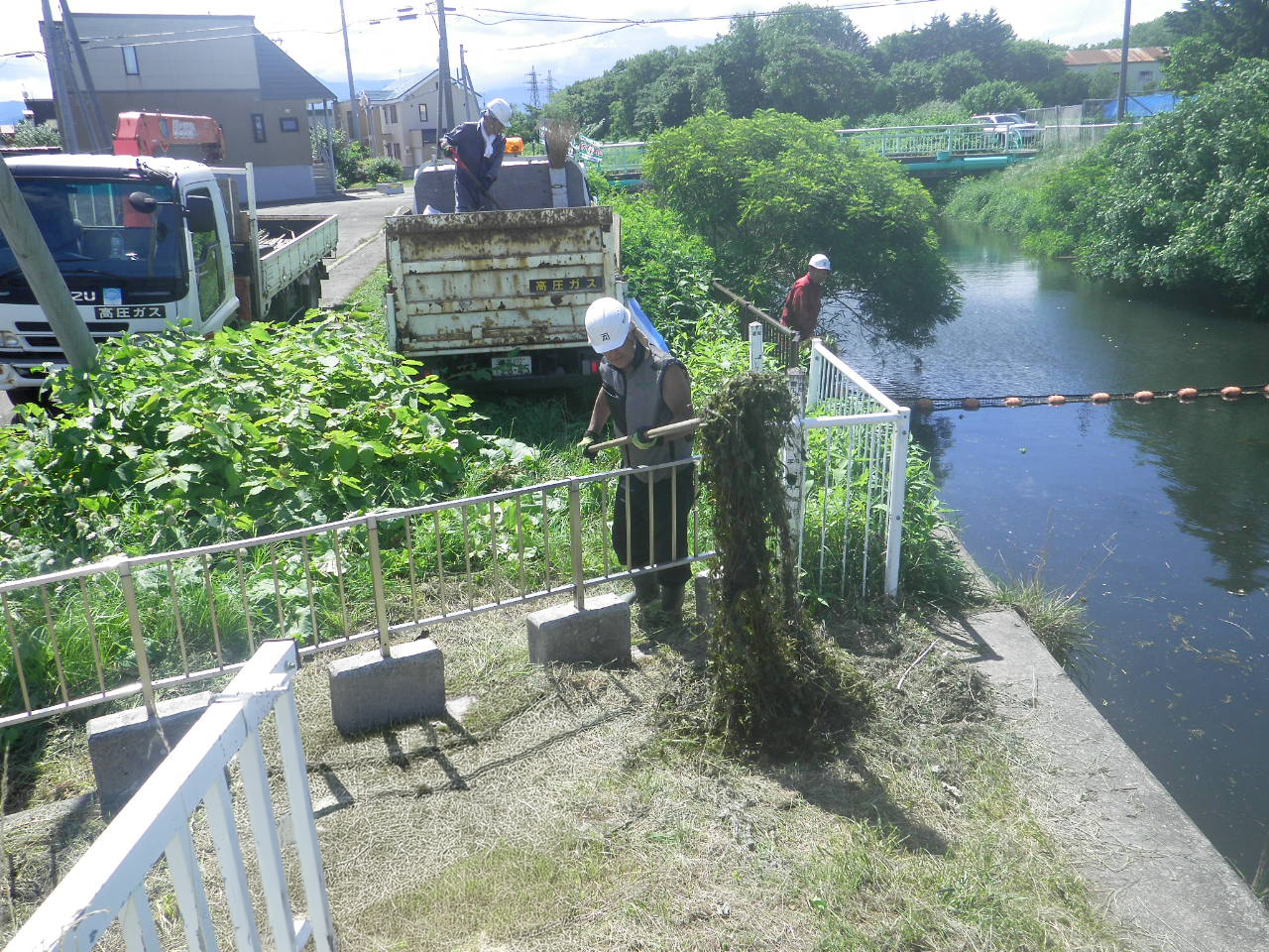 令和6年度　茨戸耕北川　水草除去
